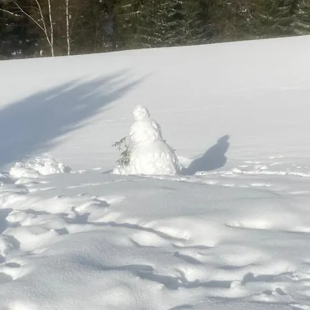 Moravenka 3* Špindlerŭv Mlýn